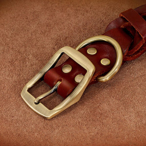 Leather Link - Personalised Collar