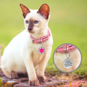 I'm Lost Pet Tag - Personalised Engraving