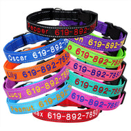 Stylist - Personalised Collar