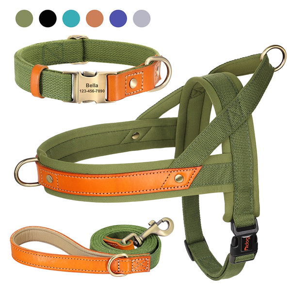 Load image into Gallery viewer, King Inspector - 3 Piece Set - Harness, Leash &amp; Personalised Collar
