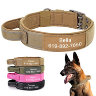 Dual Force - Personalised Collar