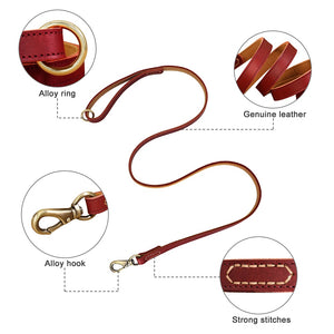 Diesel Leather - Leash & Personalised Collar