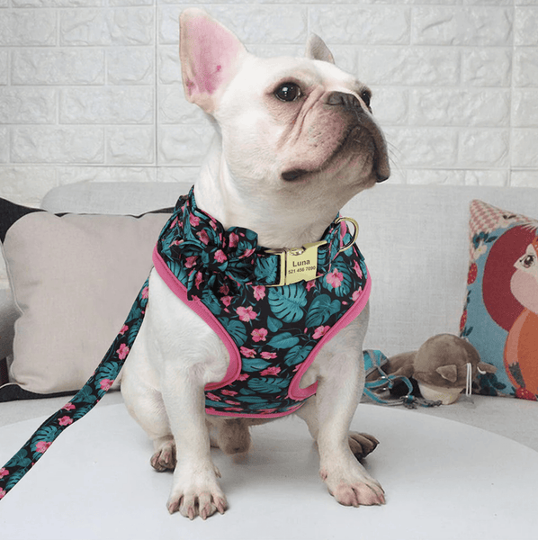 Load image into Gallery viewer, bulldog wearing floral dog personalised collar and harness and leash set purple
