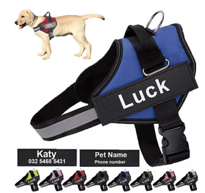ID Pup Desert - Personalised Harness