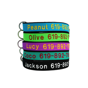 Pup Threads - Personalised Collar