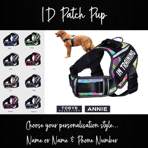 ID Patch Pup - Personalised Harness