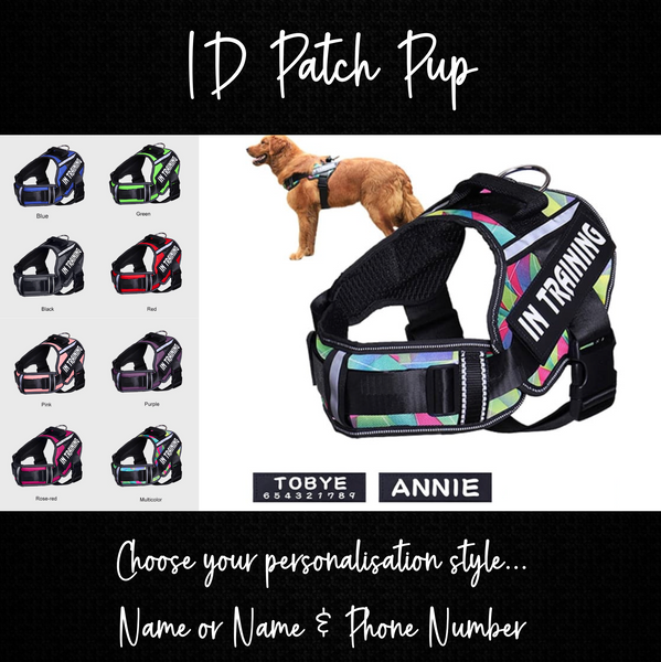 Load image into Gallery viewer, ID Patch Pup - Personalised Harness
