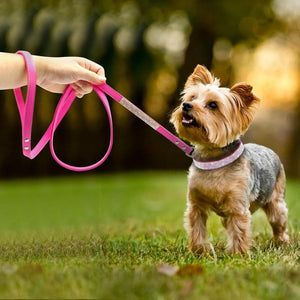 Rhinestone sparkly dog leash
