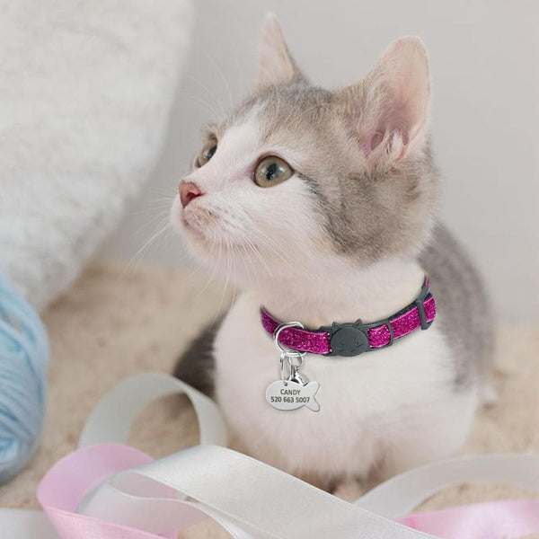 Load image into Gallery viewer, Sparkle Spunk - Personalised Collar
