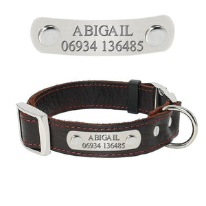 Leather Paws Silvo - Personalised Collar