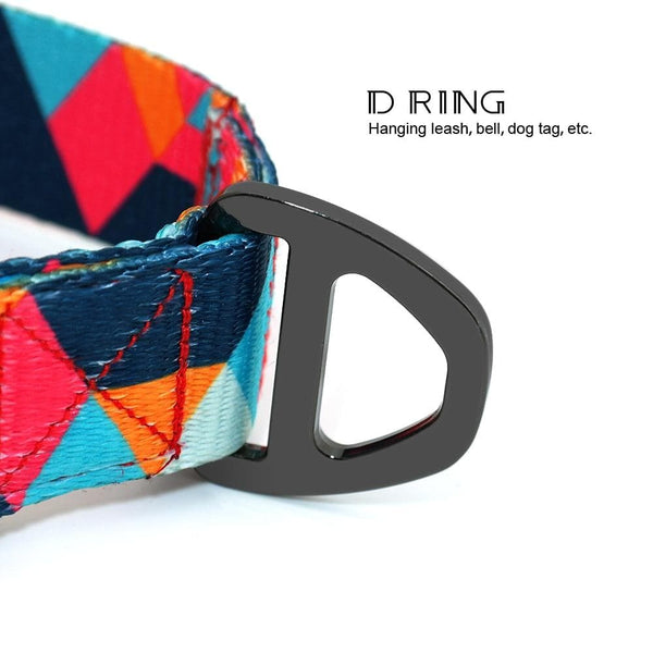 Load image into Gallery viewer, Colour Pop - Personalised Collar
