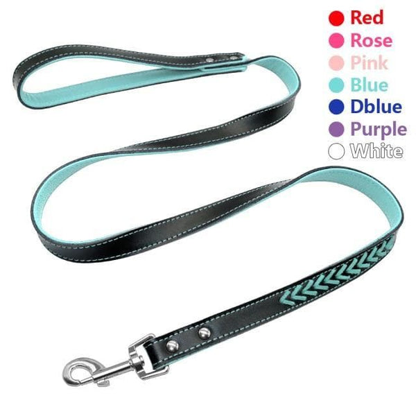 Load image into Gallery viewer, Dog leash coloured
