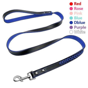 Dog leash coloured