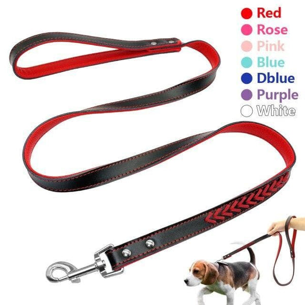 Load image into Gallery viewer, Dog leash coloured
