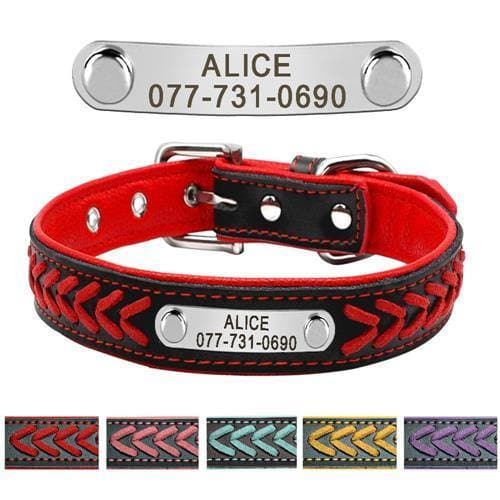 Load image into Gallery viewer, Personalised pet collars red

