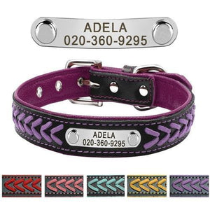 Personalised pet collars purple