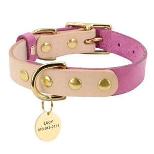 Personalised dog collar with engraving of name and phone number