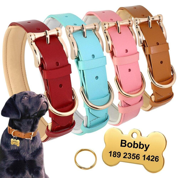 Load image into Gallery viewer, Bone Dog - Personalised Collar
