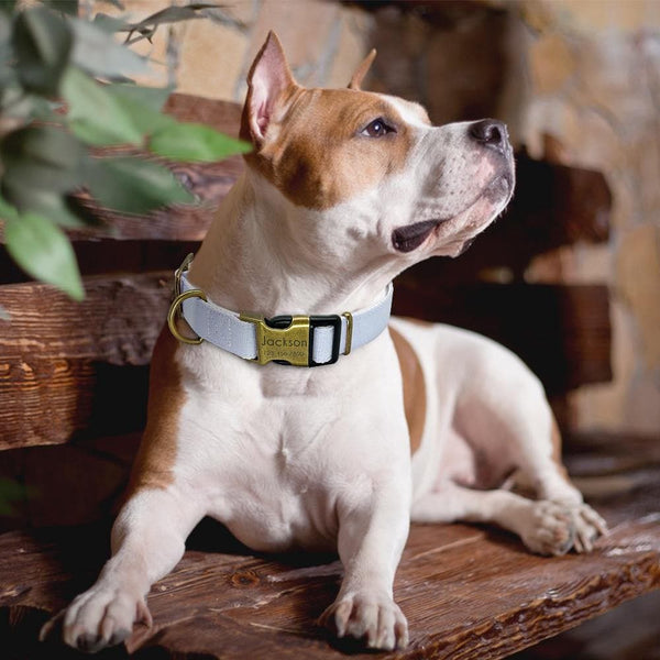 Load image into Gallery viewer, personalised pet collar with engraving pastel colour
