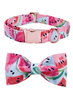 Watermelon Crush Collar