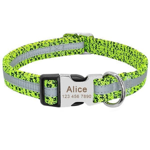 Speckle - Personalised Collar