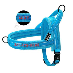 personalised embroidered dog harness
