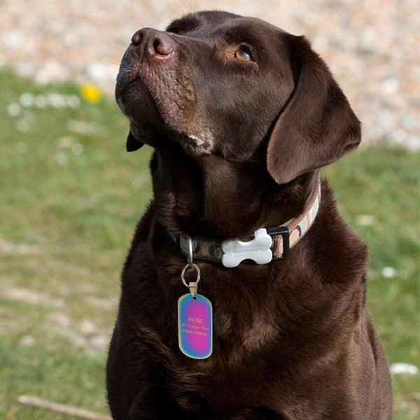 Load image into Gallery viewer, Personalised pet tag engraved dog
