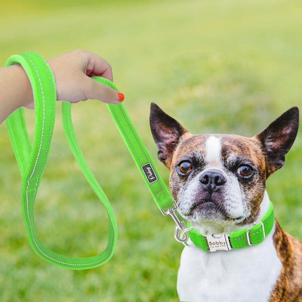 Load image into Gallery viewer, Personalised dog collar with engraving and matching leash set
