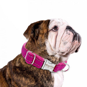 Personalised dog collar with engraving and matching leash set