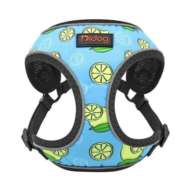 Fruit print pet harness adjustable and reflective