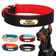 leather personalised dog collar engraved
