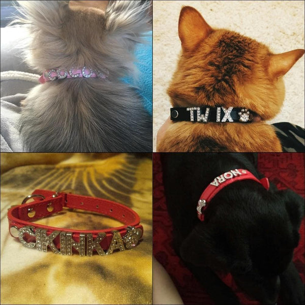 Load image into Gallery viewer, cats and dogs with personalised collars
