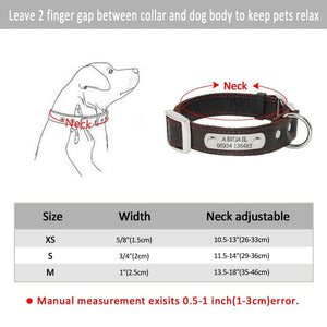 Leather Paws Silvo - Personalised Collar