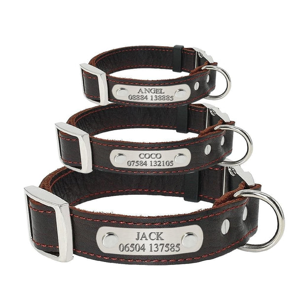 Load image into Gallery viewer, Leather Paws Silvo - Personalised Collar
