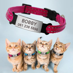 personalised cat collar with engraving