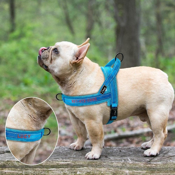 Load image into Gallery viewer, personalised embroidered dog harness
