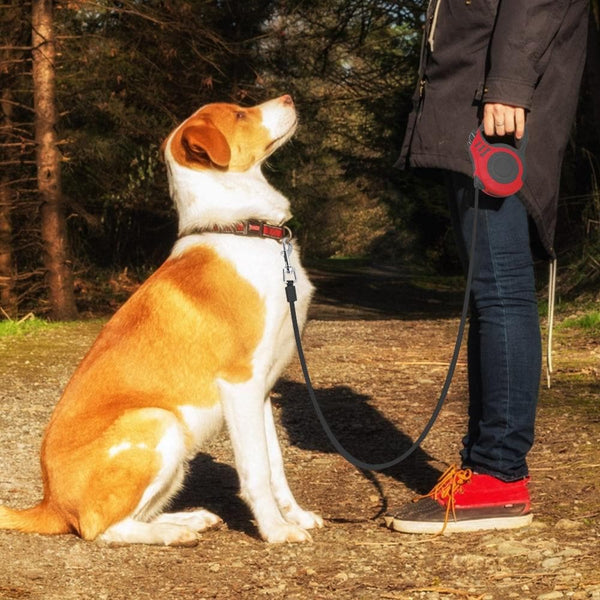 Load image into Gallery viewer, Bone - 5m Retractable Dog Leash
