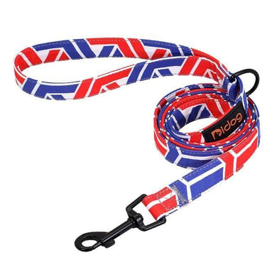 Blue and red dog leash