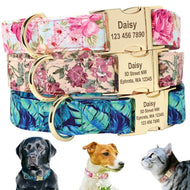 personalised dog collar with engraving of name and phone number