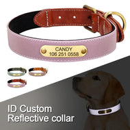 personalised dog collar with engraving