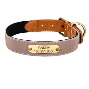 personalised dog collar with engraving