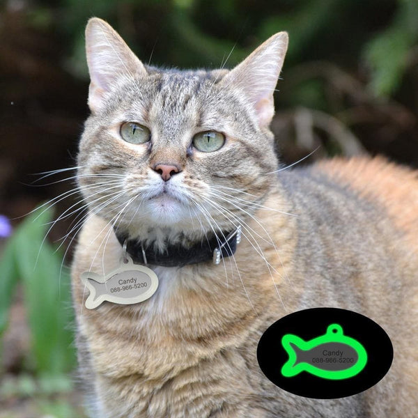 Load image into Gallery viewer, Personalised pet tag glow in the dark
