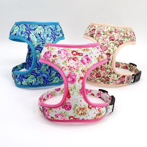 floral pet harness cat and dog