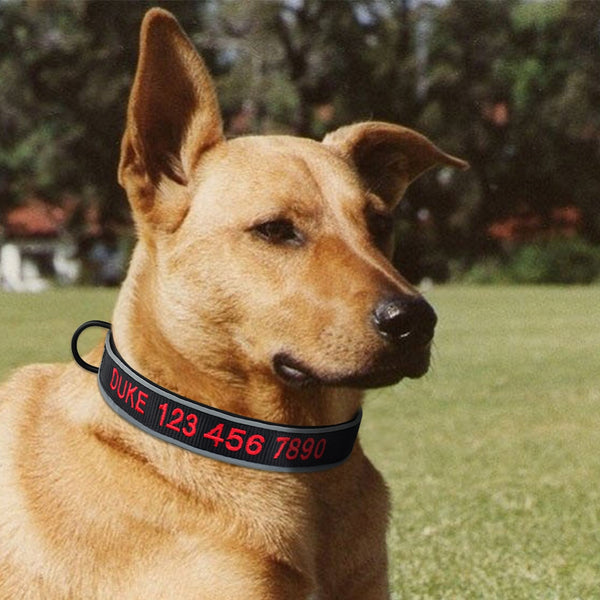 Load image into Gallery viewer, Reflect ID - Personalised Collar
