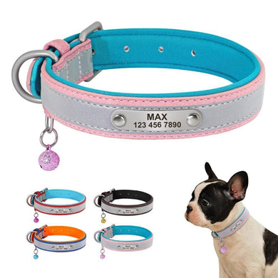personalised dog collar with engraving