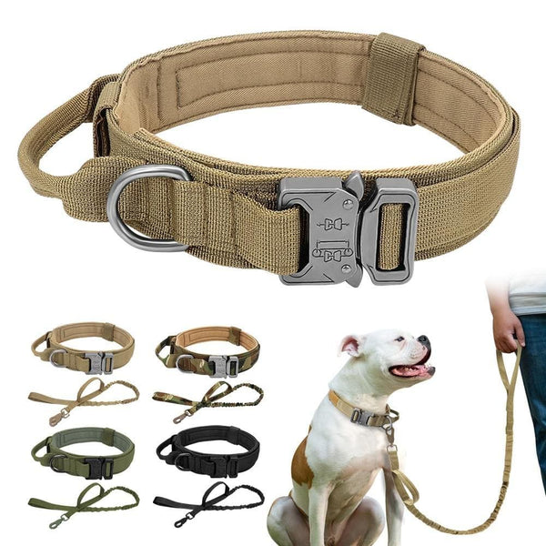 Load image into Gallery viewer, military style dog collar and leash
