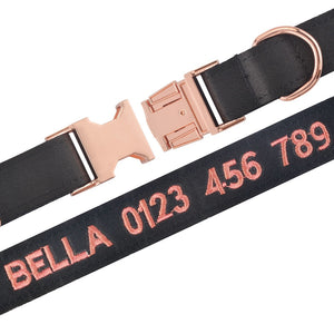 Rosé All Day - Personalised Collar