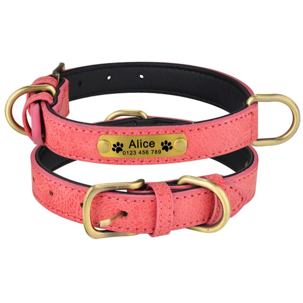 Load image into Gallery viewer, Hustle - Personalised Collar
