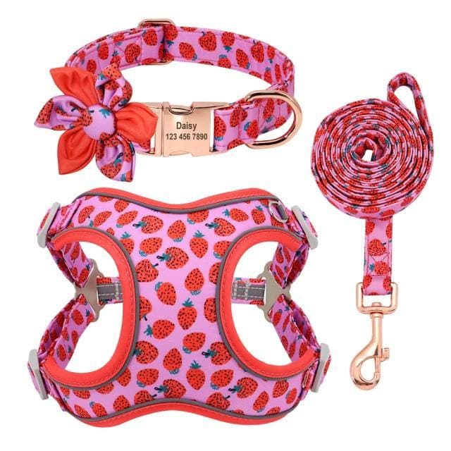personalised dog collar with Harness leash & personalised collar