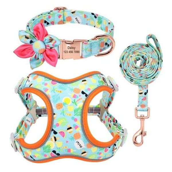Load image into Gallery viewer, personalised dog collar with Harness leash &amp; personalised collar
